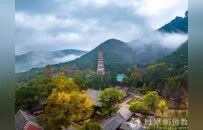 灵岩禅茶 ｜北方茶文化流行的幕后推手：降魔藏禅师